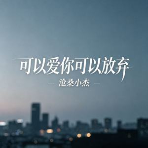 可以爱你可以放弃