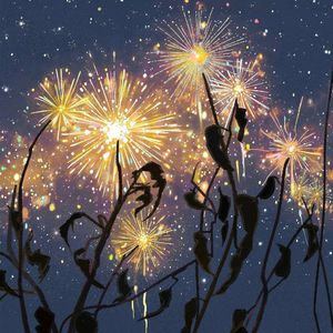 无尽美丽的事物