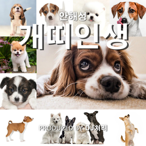 개띠인생 (Inst.)