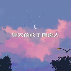 夏天的蚊子真烦人
