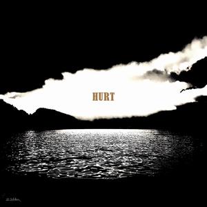 Hurt (feat. Anat Porat)