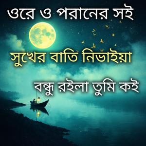 ওরে ও পরানের সই সুখের বাতি নিভাইয়া বন্ধু রইলা তুমি কই Folk Gaan Bd