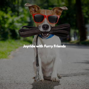 Classic Colorful Days