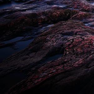 死心塌地爱着你