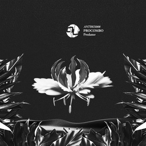 Main Driver (Original Mix)