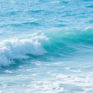 是晚霞的清安呀