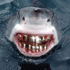 Monica（Cover:key.l刘聪）