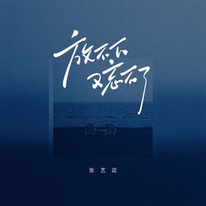 放不下又忘不了