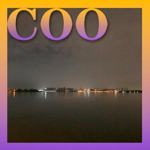 Jay-Z-Coo（Coo remix）