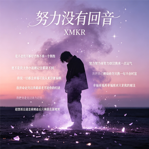 努力没有回音