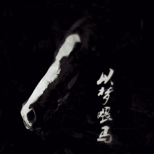 阿拉善（Cover 贰佰）