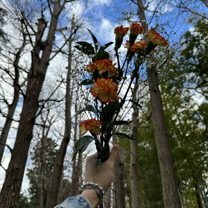 俺だけの花が咲く