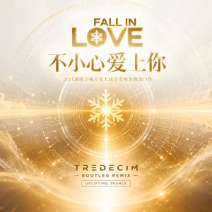 一不小心爱上你(TREDECIM Bootleg)