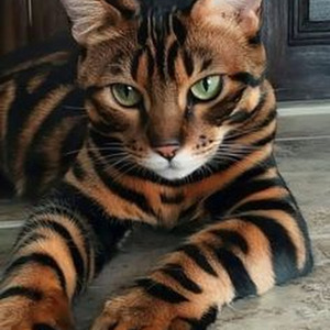 There He Is (sped up)