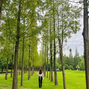 肆意不休（翻自 小月）