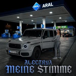 Meine Stimme