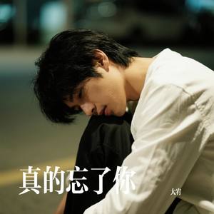 真的忘了你