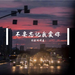 不要忘记我爱你