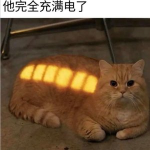 有你的瞬间定格成永远