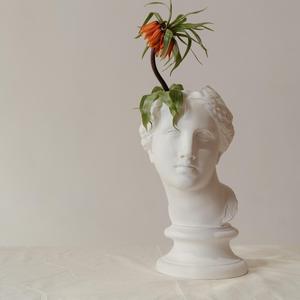 Una Rosa en la Azotea (Deluxe)