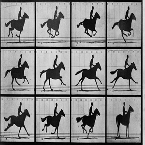 Canter