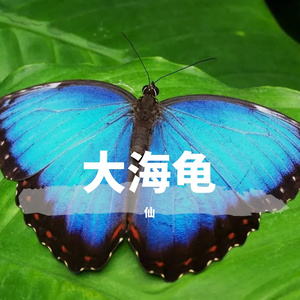 aas
