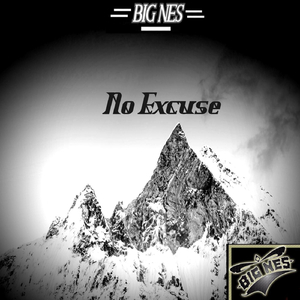 No Excuse