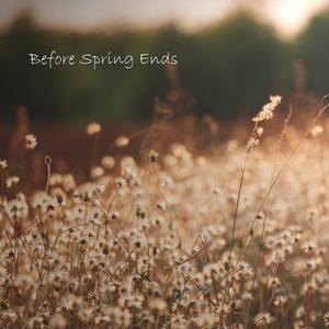 Before Spring Ends