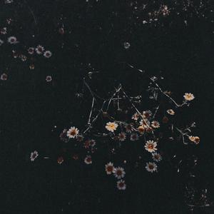 Alves (feat. Gabriel Rosenbach)