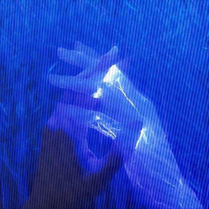 唉爱（prod. harui）