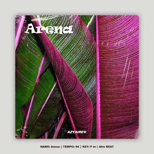 盛夏派对 [Free] Afro Guitar Beat "Arena"