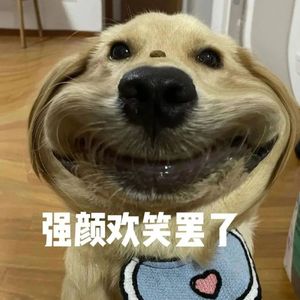 理想城