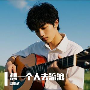 想一个人去流浪