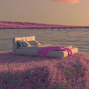 In my dreams