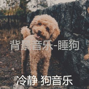 睡觉的小狗-像梦一样