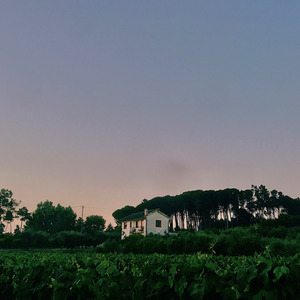 Countryside