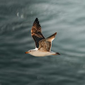 没关系（cover容祖儿）