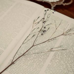 Hymnbook