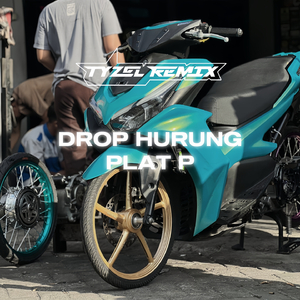 HURUNG PLAT P
