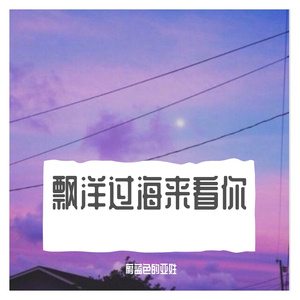 漂洋过海来看你