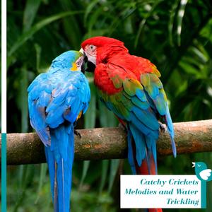 Dazzling Branches Flicker