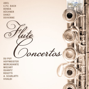 Flute Concerto No. 2 in D Major: III. Rondo. Allegretto