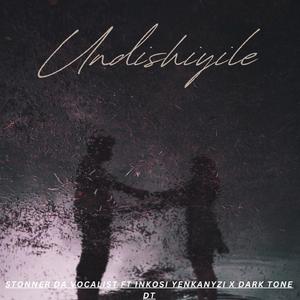 Undishiyile (feat. Stonner da vocalist, Inkosi yenkanyezi & Dark Tone DT)