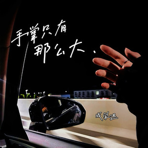 手掌只有那么大