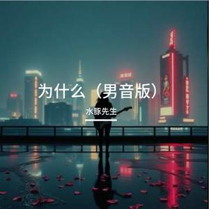为什么(男音版)