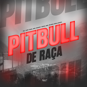 Pitbull de Raça