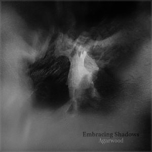 Embracing Shadows