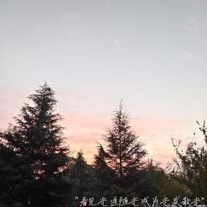 致将要发光的你（Prod.EVOMUSIC）