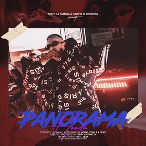 Panorama Hoodu (feat. Nexx & Tony T)