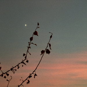 Lovely (Slowed + Even More Lofi)